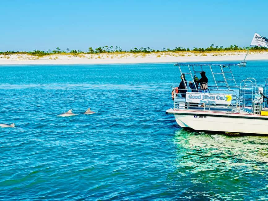 Panama City Beach: Snorkel Excursion with Good Jibez Only - A Close Look at the Experience