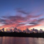 Panama City: Sunset Dolphin Cruise in St. Andrews Bay - Who is this tour perfect for?