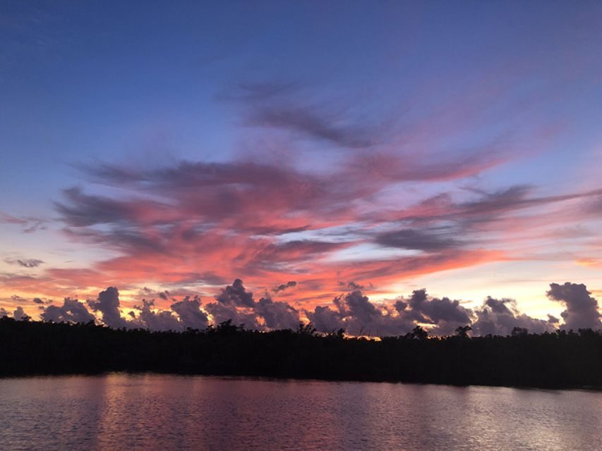 Panama City: Sunset Dolphin Cruise in St. Andrews Bay - Who is this tour perfect for?