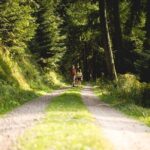 Panorama Hike through the Black Forest guided by a Local - Who Should Consider This Tour?