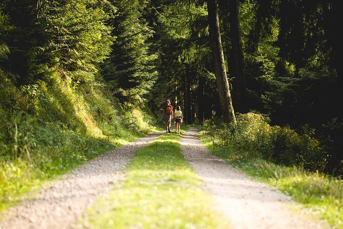 Panorama Hike through the Black Forest guided by a Local - Who Should Consider This Tour?