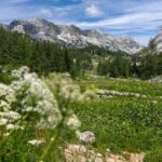 Panoramic hike in Julian Alps - What Makes This Tour Stand Out?