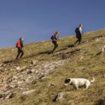 Panoramic Hike in Julian Alps - Authentic Experiences and Genuine Praise from Travelers
