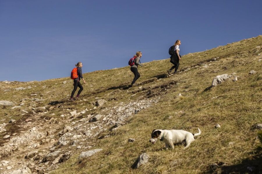 Panoramic Hike in Julian Alps - Authentic Experiences and Genuine Praise from Travelers
