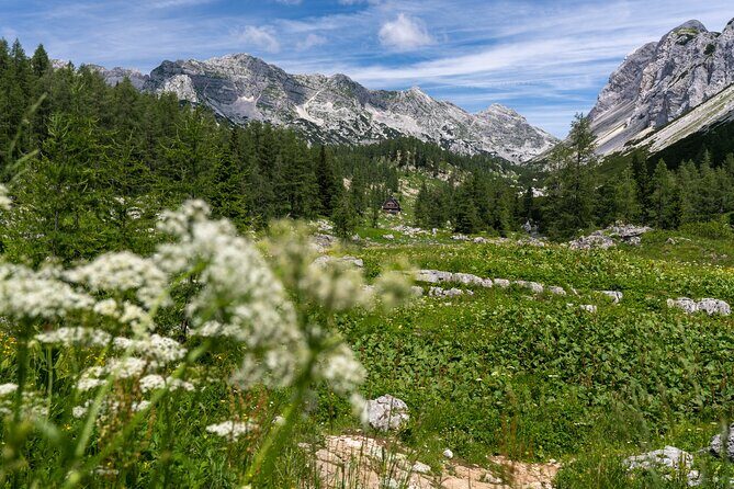 Panoramic hike in Julian Alps - What Makes This Tour Stand Out?