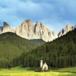 Panoramic transfer Bolzano Cortina d'Ampezzo - An In-Depth Look at the Dolomites Panoramic Transfer