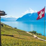 Panoramic Wine Tour From Montreux - Discovering the Lavaux Vineyard Terraces