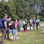 Pantalica nature history and archeology - An In-Depth Look at the Pantalica Nature, History, and Archaeology Tour