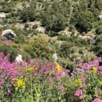 Pantalica Nature Reserve Walking Tour - Frequently Asked Questions