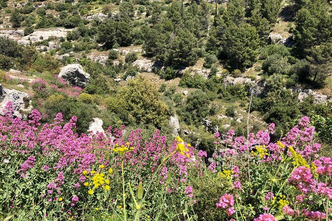 Pantalica Nature Reserve Walking Tour - Frequently Asked Questions