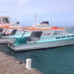 Papeete and Tahiti Historical and Cultural Tour - Why This Tour Works for You