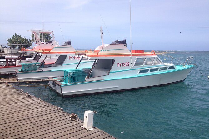 Papeete and Tahiti Historical and Cultural Tour - Why This Tour Works for You