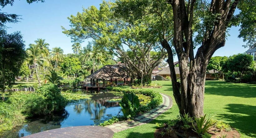 Papeete : walking tour - Who Should Consider This Tour?