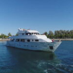 Paphos: Adults Only Cruise with Drinks, Food, Bus, Swim Stop - An In-Depth Look at the Paphos Adults-Only Cruise