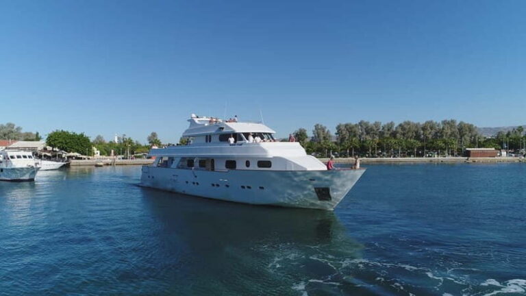 Paphos: Adults Only Cruise with Drinks, Food, Bus, Swim Stop - An In-Depth Look at the Paphos Adults-Only Cruise