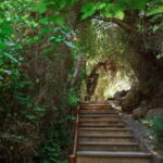 Paphos/Akamas: Blue Lagoon Bus & Boat Tour with Water Slide - Exploring Cyprus’s Akamas Peninsula