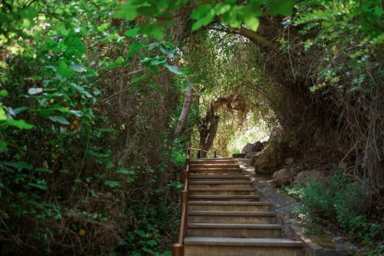 Paphos/Akamas: Blue Lagoon Bus & Boat Tour with Water Slide - Exploring Cyprus’s Akamas Peninsula