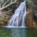 Paphos: Half Day Jeep Tour Akamas Peninsula (Private) - Exploring the Akamas Peninsula: A Detailed Review