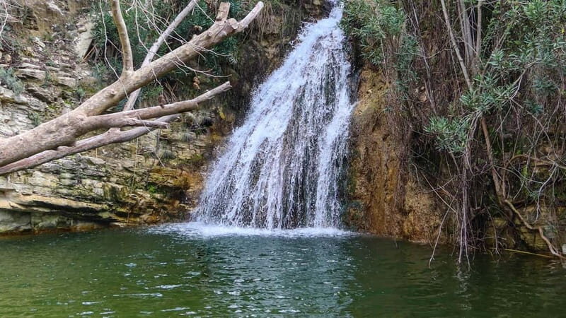 Paphos: Half Day Jeep Tour Akamas Peninsula (Private) - Exploring the Akamas Peninsula: A Detailed Review