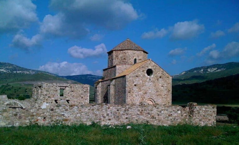 Paphos/Limassol: Donkey Farm Day Trip with Lunch & Tastings - A Deep Dive into the Experience