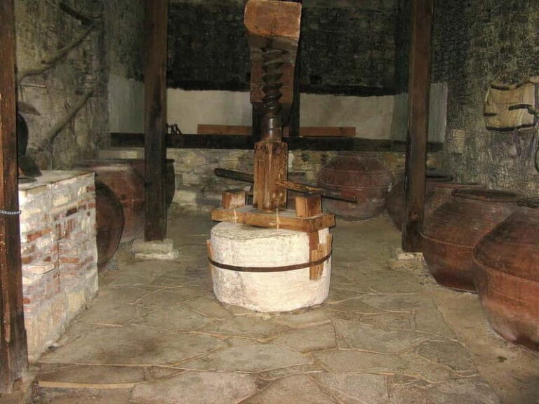 Paphos: Local Wineries Tour with Wine Tastings - A Detailed Look at the Tour Experience