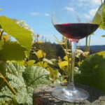 Paphos: Private Wine Tour with Tastings and Winery Visits - FAQs