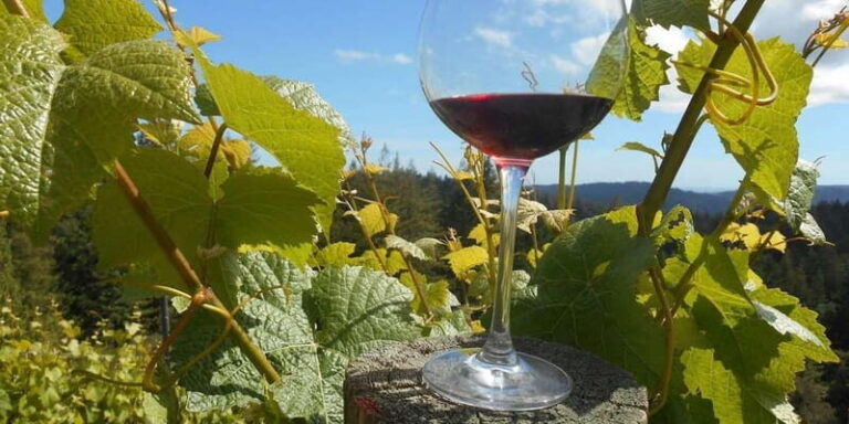 Paphos: Private Wine Tour with Tastings and Winery Visits - FAQs