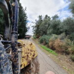 Paphos: Seaside and off Road Buggy Safari - Detailed Breakdown of the Experience