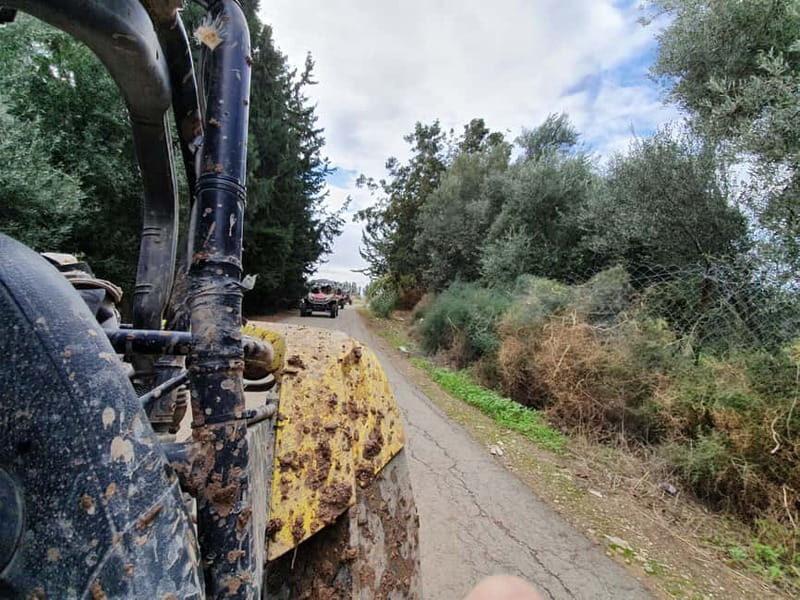 Paphos: Seaside and off Road Buggy Safari - Detailed Breakdown of the Experience