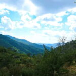 Paphos: Tour to Troodos, Kykkos Monastery, Omodos and Winery - A Deep Dive into the Experience