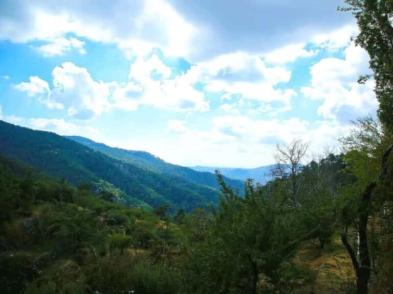 Paphos: Tour to Troodos, Kykkos Monastery, Omodos and Winery - A Deep Dive into the Experience