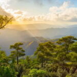 PAPHOS: Troodos Mountains "Monasteries & Villages" by coach - Who Should Consider This Tour?