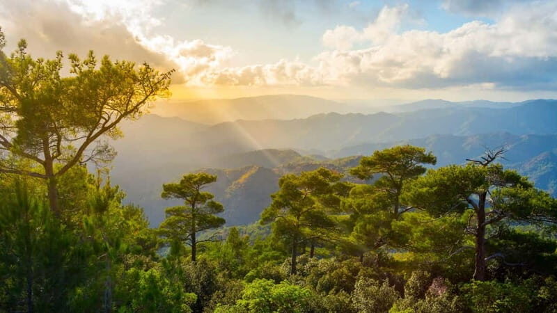PAPHOS: Troodos Mountains "Monasteries & Villages" by coach - Who Should Consider This Tour?