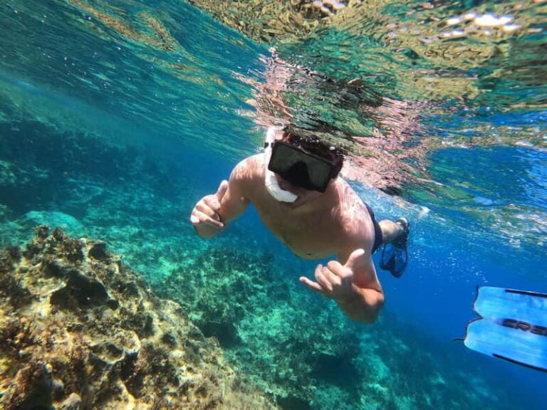 Paphos: Turtle-Watching Snorkeling Sea Scooter Trip - A Closer Look at the Paphos Turtle-Watching Snorkeling Tour