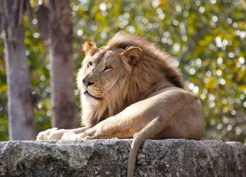 Paphos: Zoo Visit and Blue Lagoon Cruise with Guide & Lunch - Who Would Enjoy This Tour?