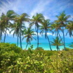 PARADISE ISLAND- ISLA CONTOY AND ISLA MUJERES - The Experience: A Deep Dive into the Islands