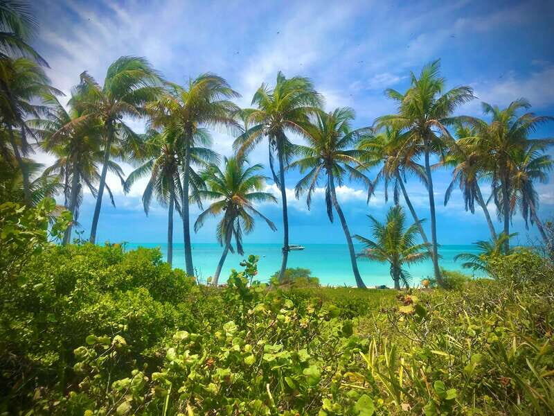 PARADISE ISLAND- ISLA CONTOY AND ISLA MUJERES - The Experience: A Deep Dive into the Islands