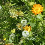 Paradise Valley: Bee Adventure Tour! - Final Thoughts: Who Is This Tour Best For?