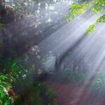 Paradise Valley - Levada Walk - A Detailed Look at the Paradise Valley Levada Walk