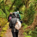 Paradise Valley Madeira Island Walk - FAQs about the Paradise Valley Madeira Island Walk