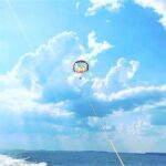 Parasailing Adventure at the Hilton Head Island - The Itinerary Breakdown