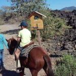 Paricutin Volcano Crater Special Tour - Final Thoughts: Who Should Take This Tour?