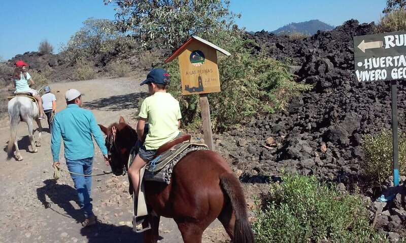 Paricutin Volcano Crater Special Tour - Final Thoughts: Who Should Take This Tour?