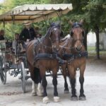 Paris: 10H Private Tour for Arc de Triomphe, Versailles - What Travelers Say