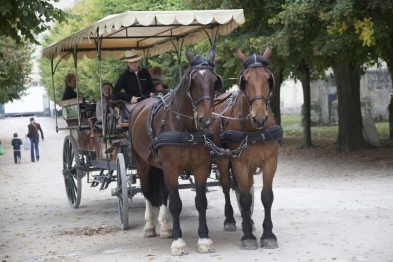 Paris: 10H Private Tour for Arc de Triomphe, Versailles - What Travelers Say