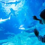 Paris: Aquarium de Paris Entrance Ticket - Key Points