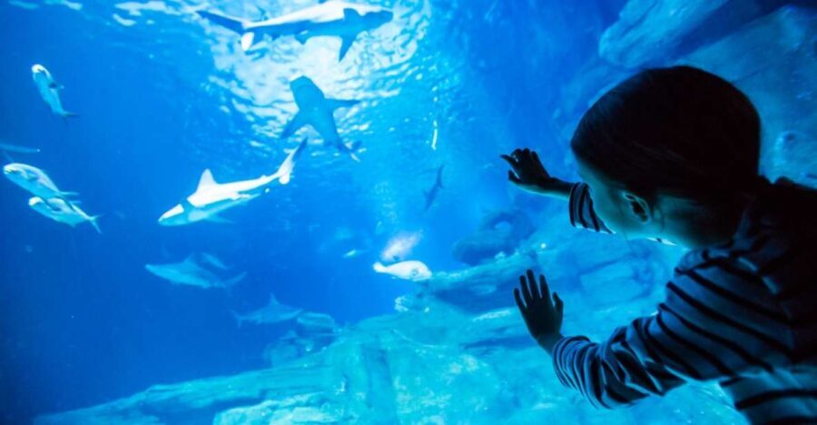 Paris: Aquarium de Paris Entrance Ticket - Key Points