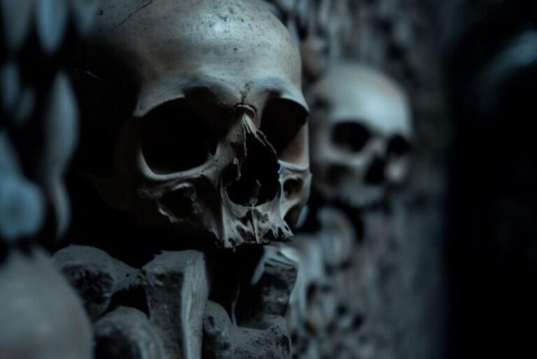 Paris: Catacombs, Audio Guide, and River Cruise Option - The Water and the City: Optional Seine River Cruise