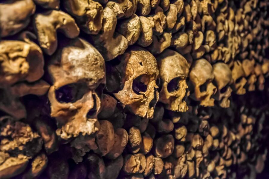 Paris: Catacombs Restricted Access Tour - Final Thoughts