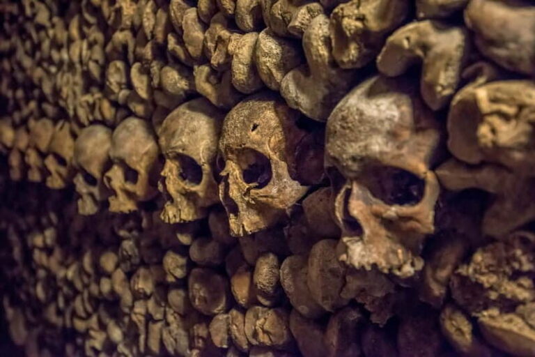 Paris: Catacombs Special Access Tour - Authentic Experiences and Genuine Value
